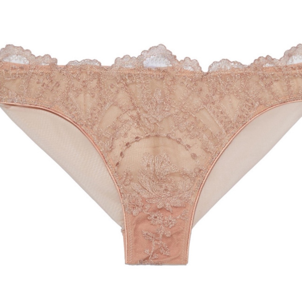 ID Sarrieri Desert Rose Gold Embroidered Stretch-Tulle Floral set size 34D/4 NWT - Picture 3 of 9